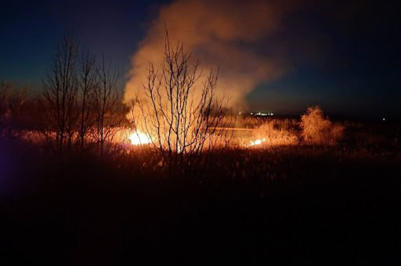 photo_2025-02-14_10-08-18