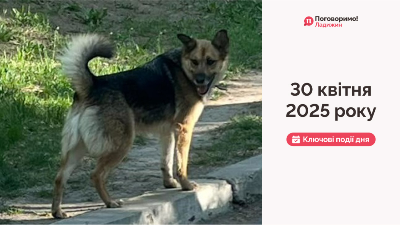 Frame 1321315696