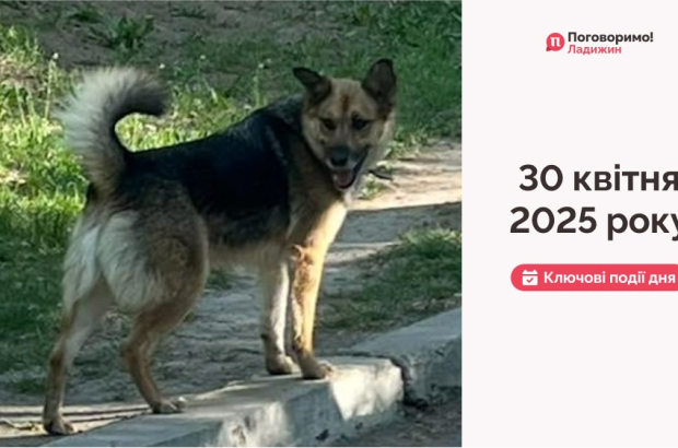 Frame 1321315696