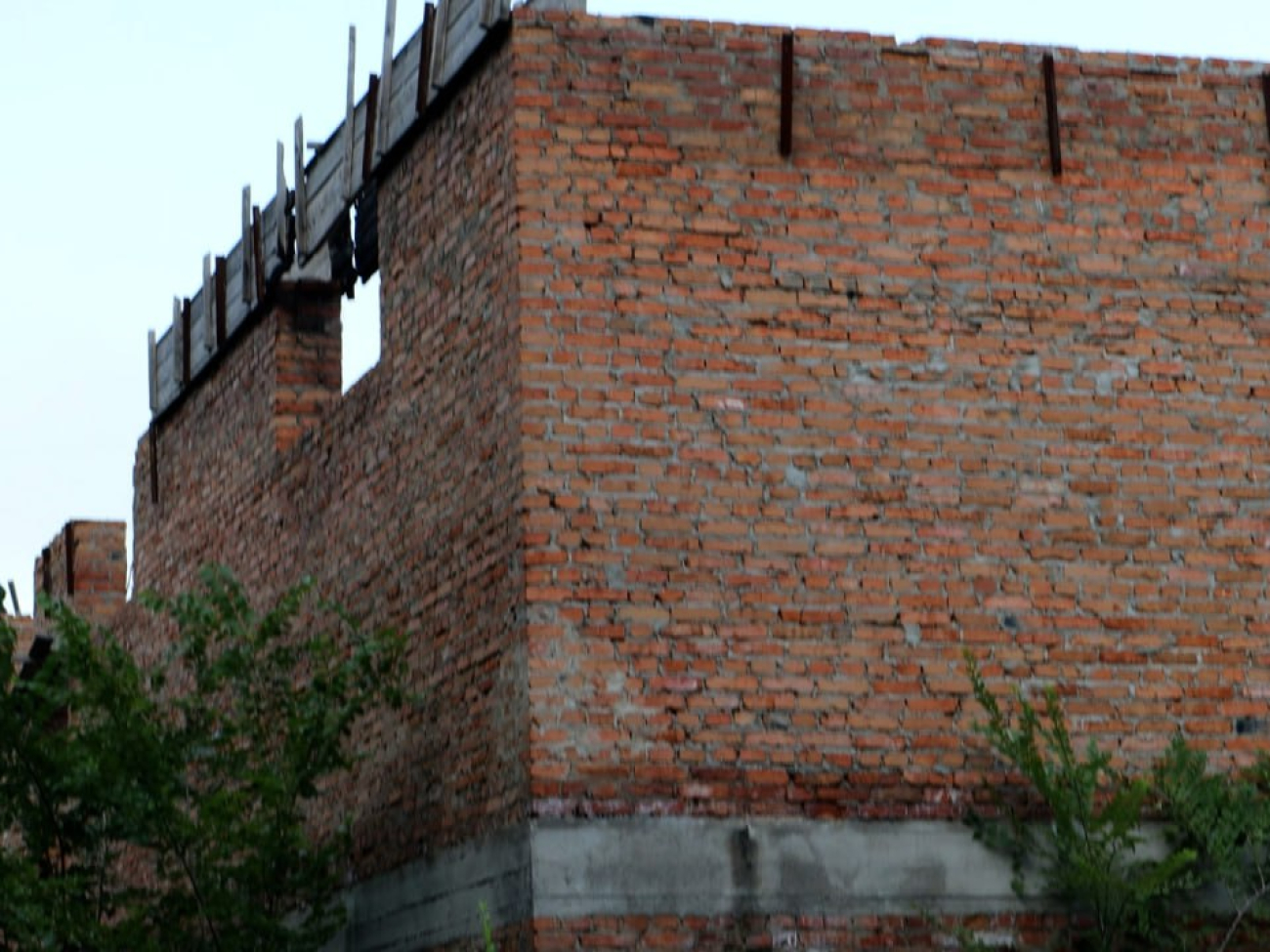 IMG_20250905_201221_469