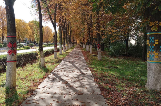 IMG_20251014_184951_348