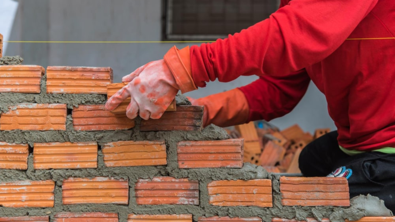 IMG_20251030_165155_569