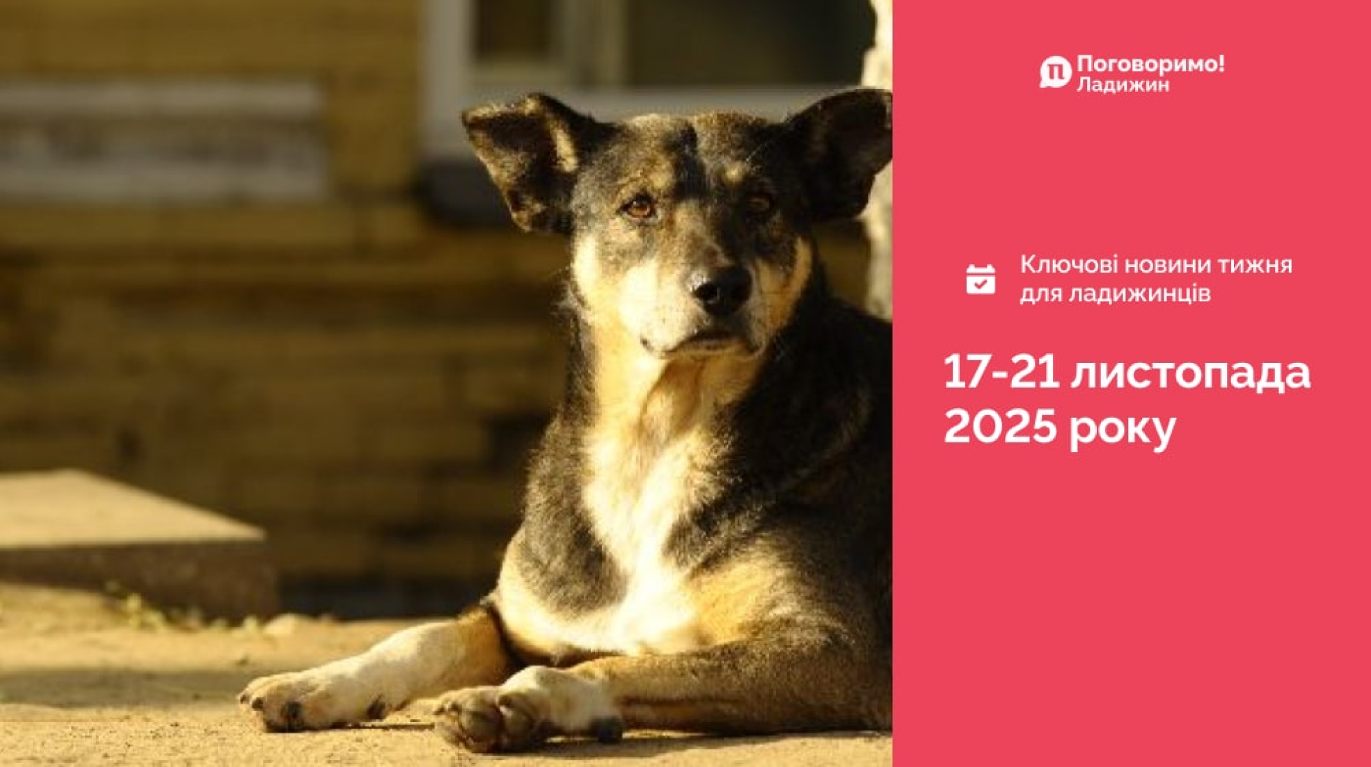 Frame 1321316164-min