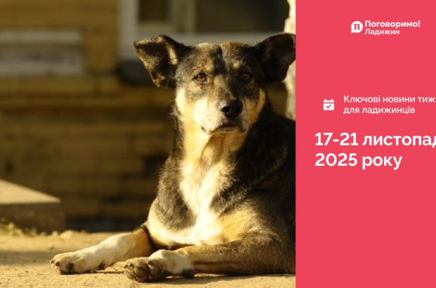 Frame 1321316164-min