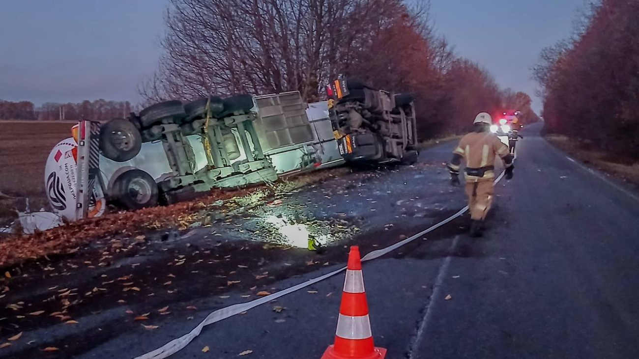 IMG_20251103_113654_792