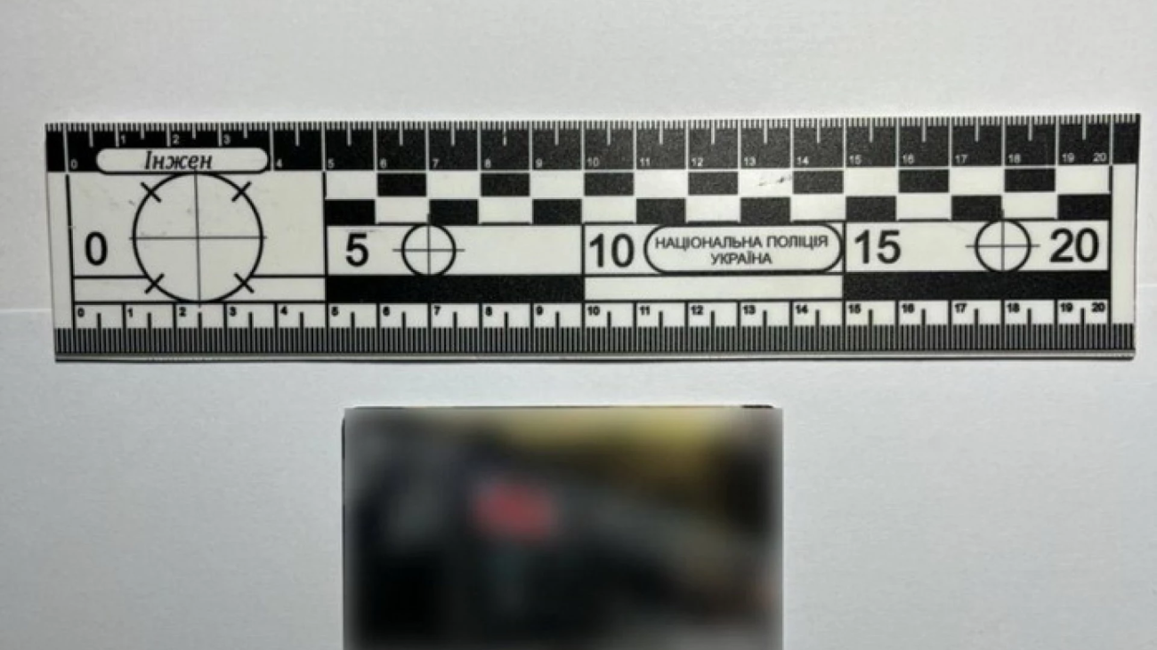 image_2025-11-11_13-19-46