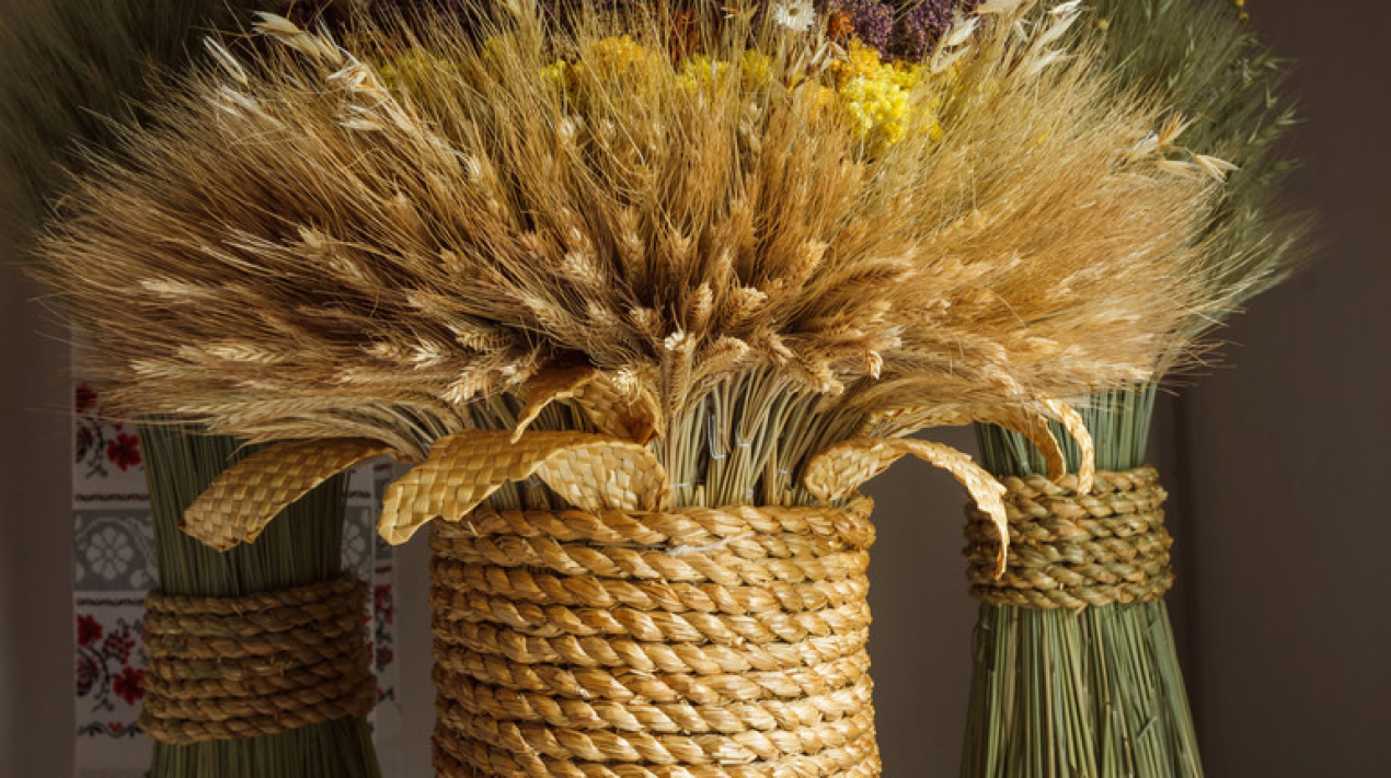 45a26ad989b2e63ca7c3b74361f007e3