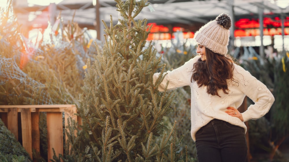 У Ладижині розпочався продаж сертифікованих новорічних ялинок