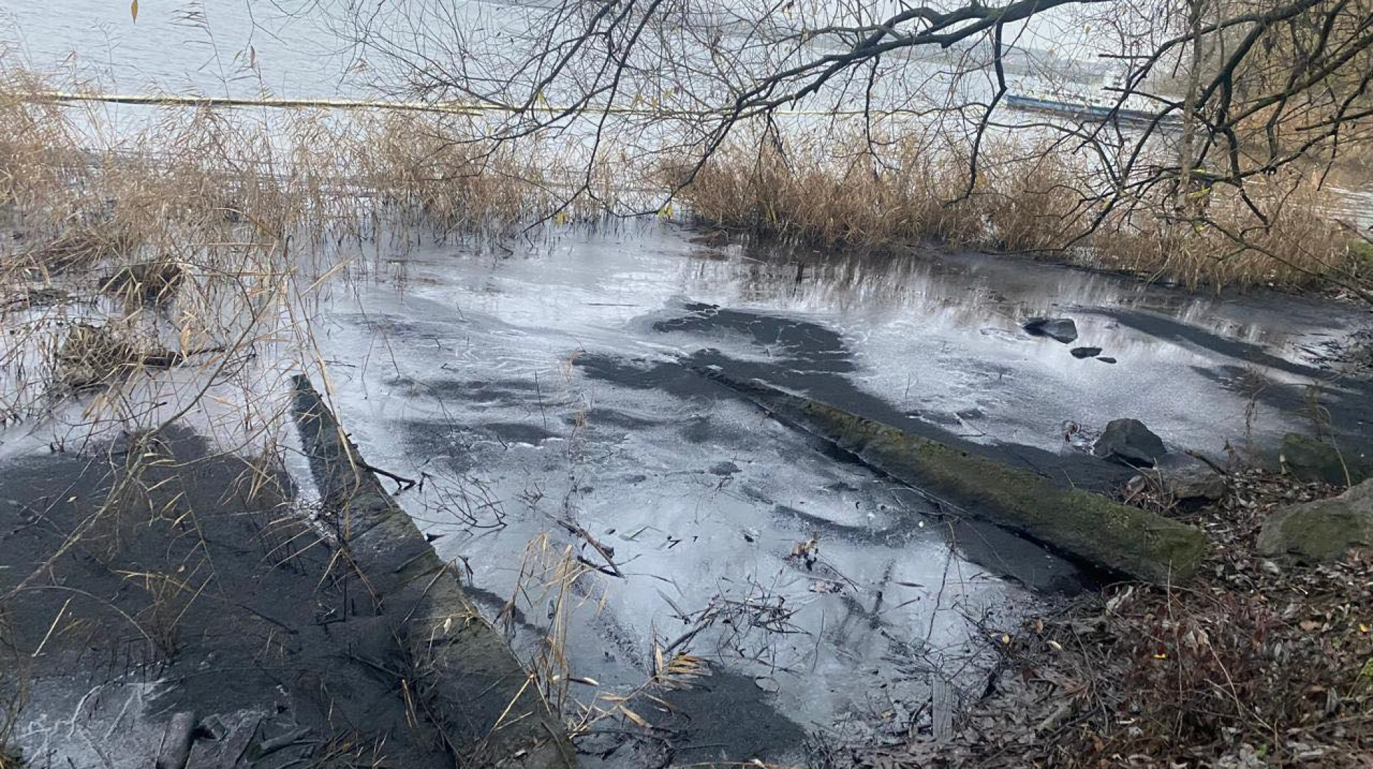 IMG_20251209_095403_570