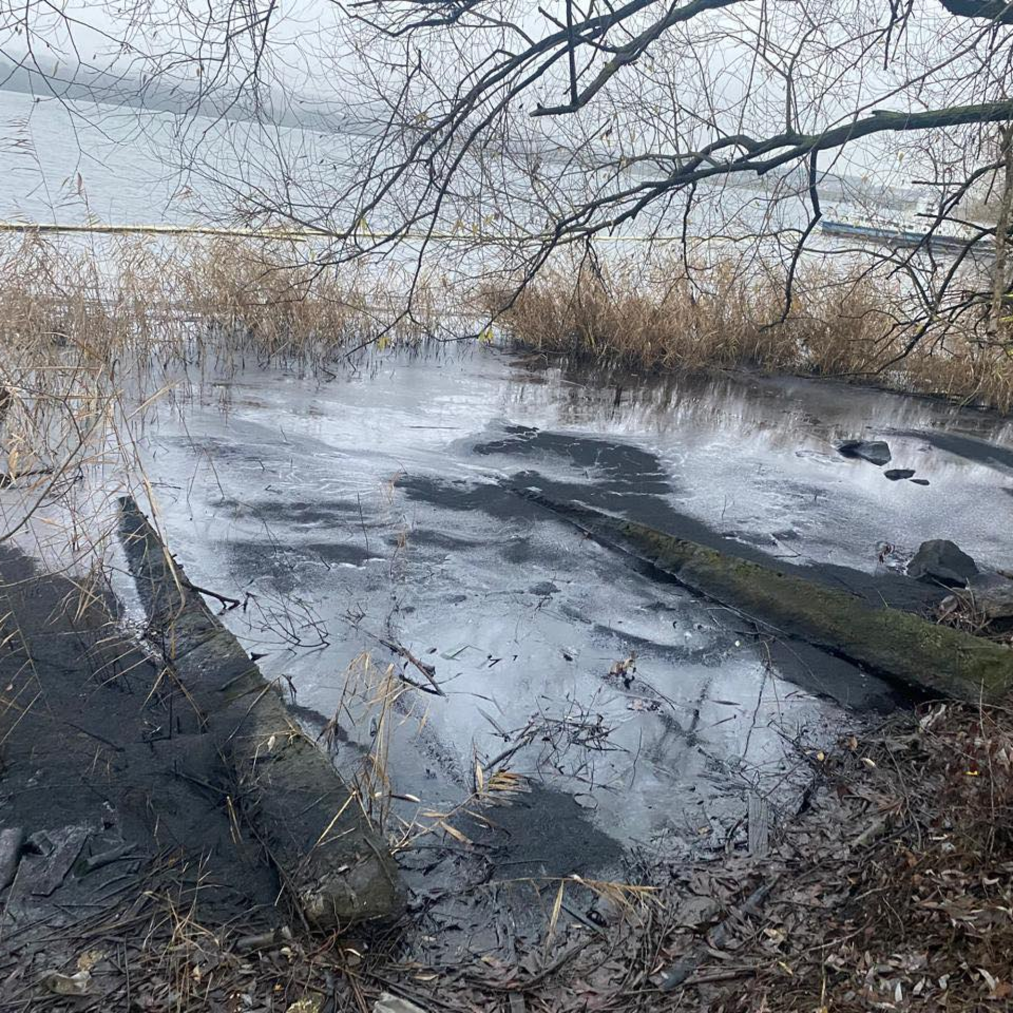 IMG_20251209_095403_570