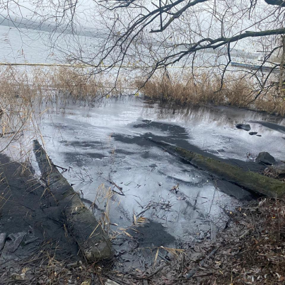 IMG_20251209_095403_570