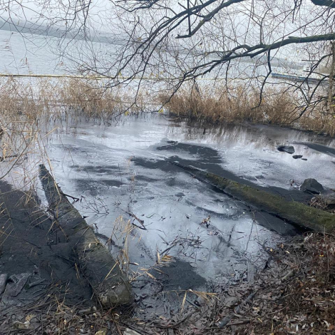 IMG_20251209_095403_570