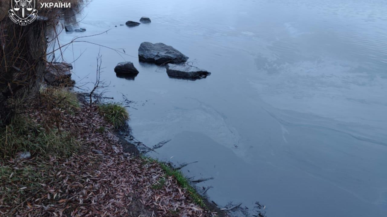 IMG_20251209_114358_606