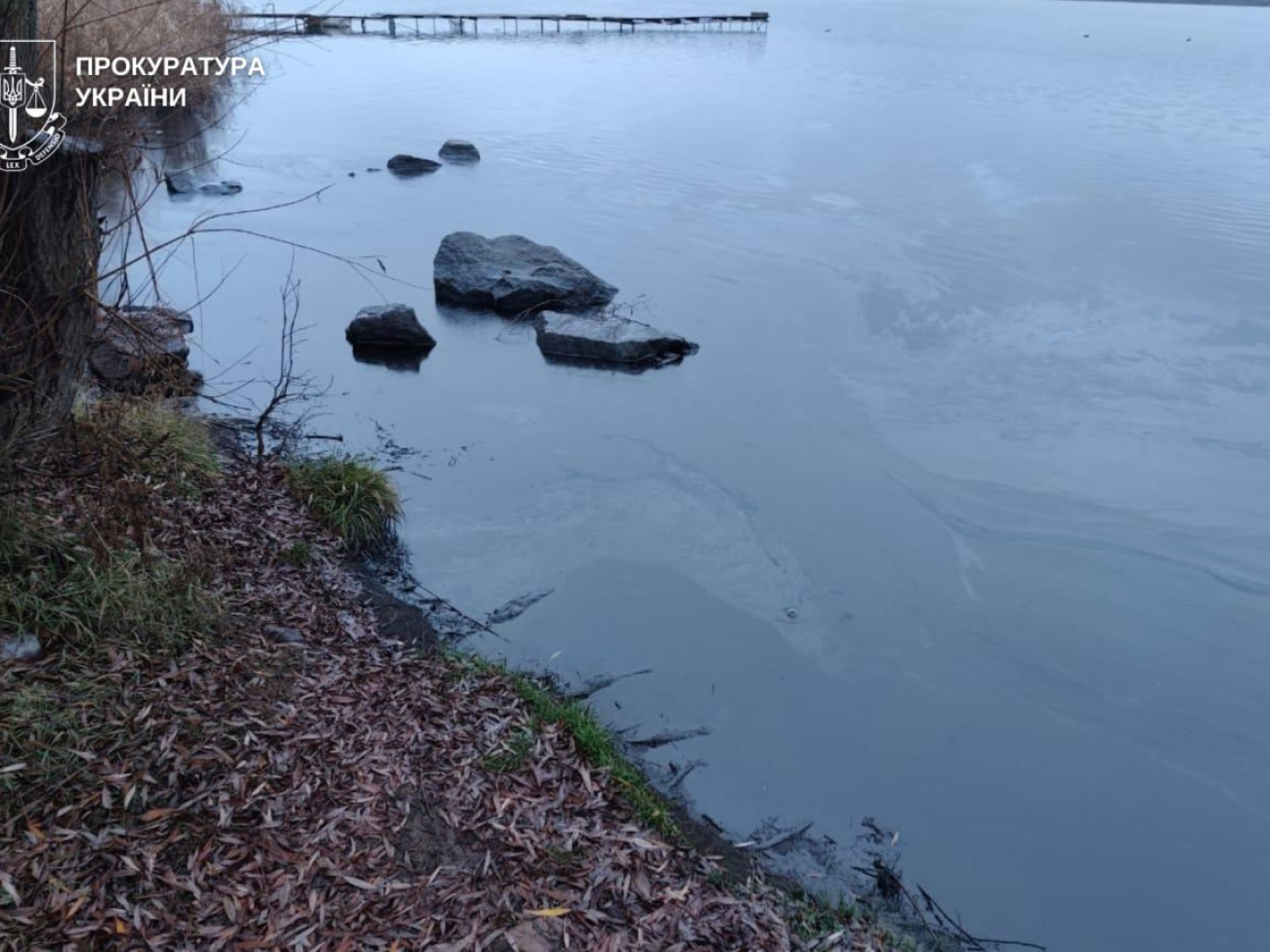 IMG_20251209_114358_606