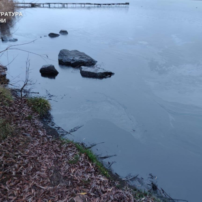 IMG_20251209_114358_606