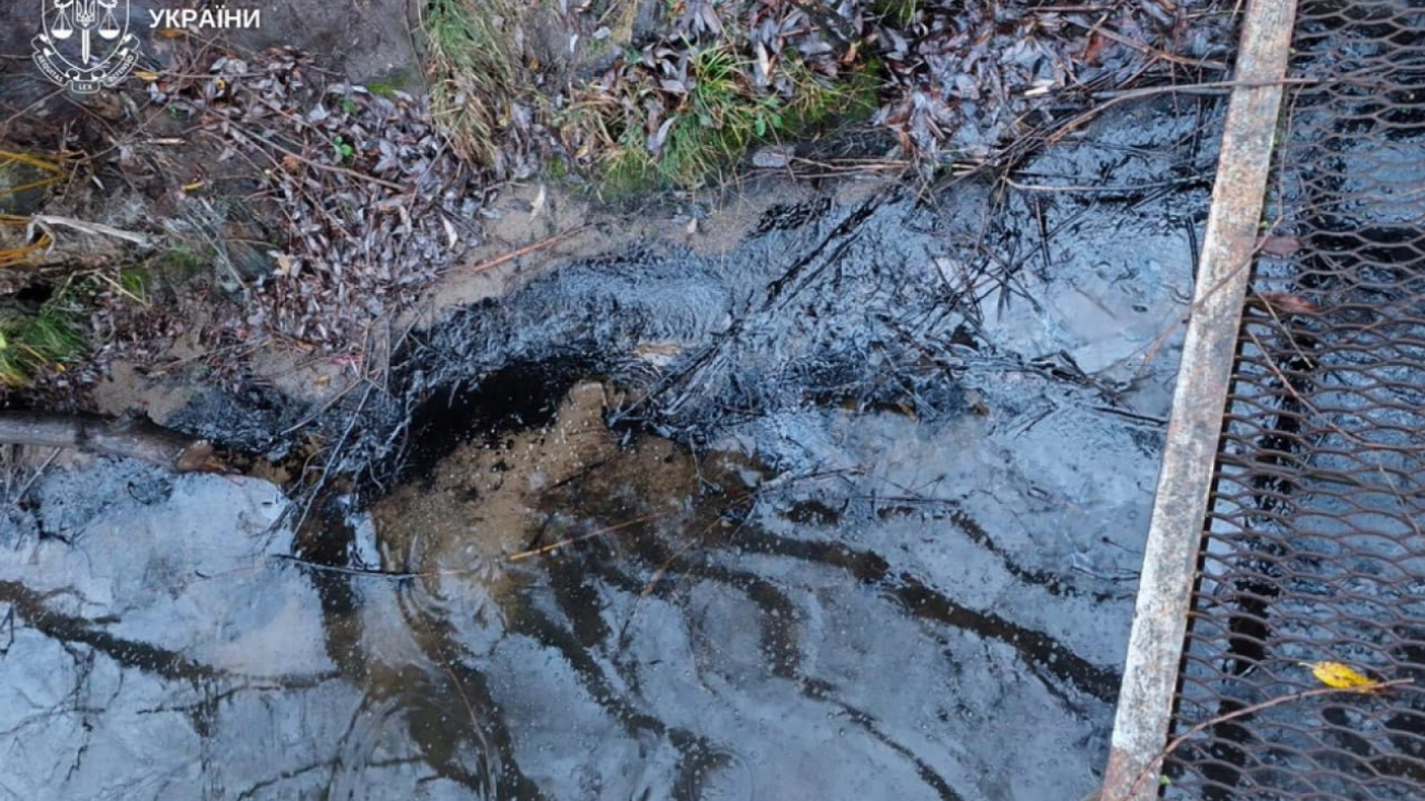 IMG_20251209_145133_656