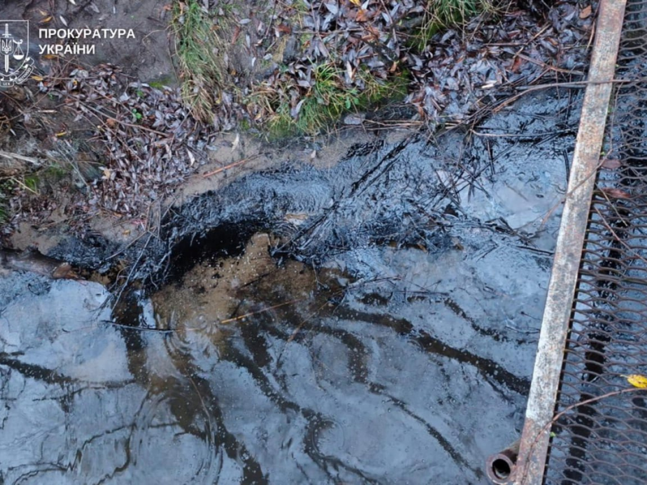 IMG_20251209_145133_656