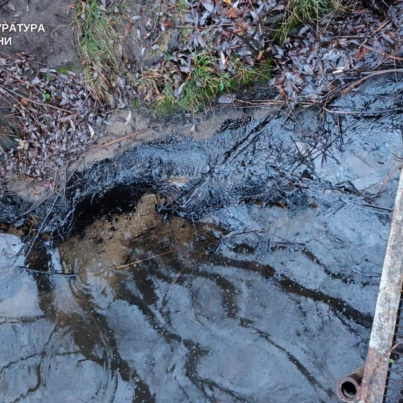 IMG_20251209_145133_656