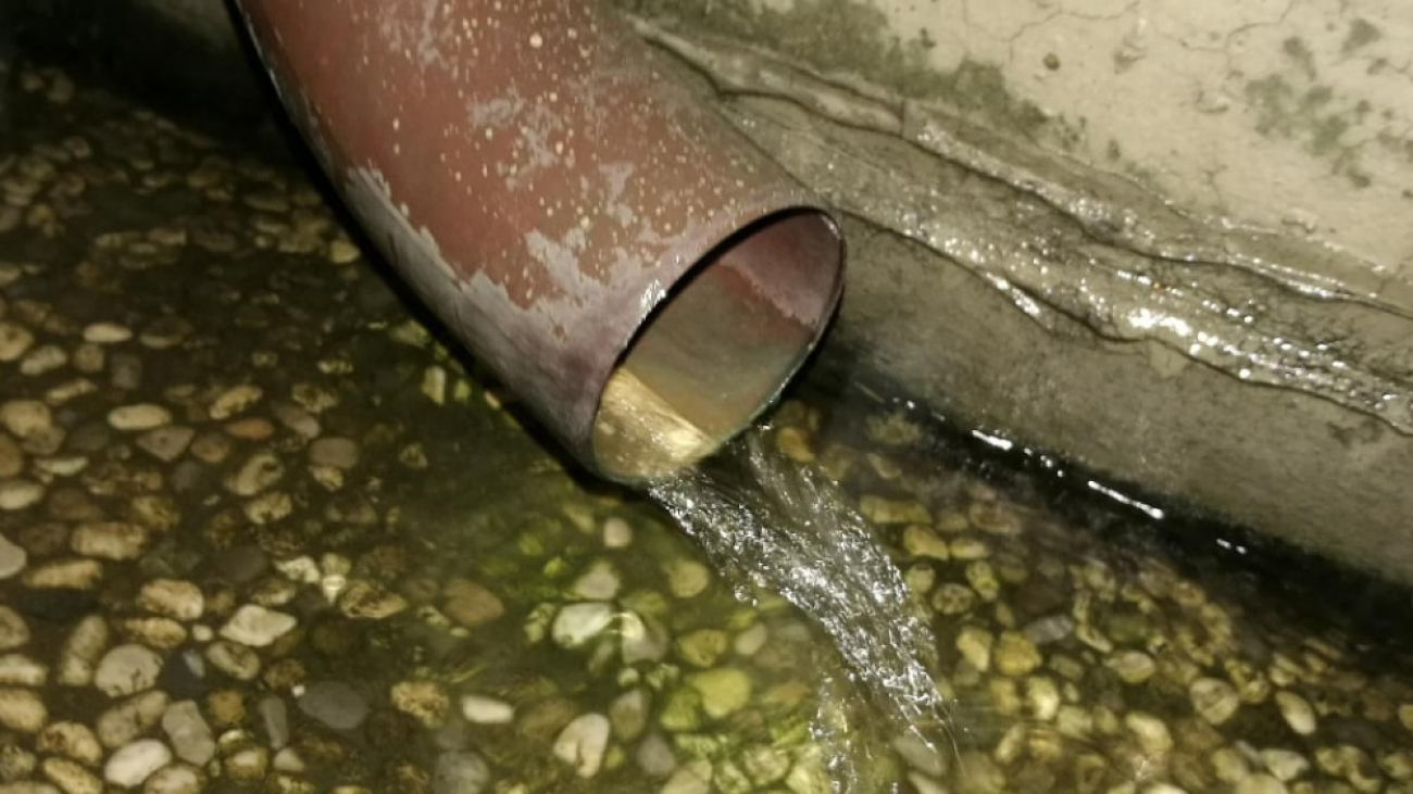 IMG_20251215_180232_955