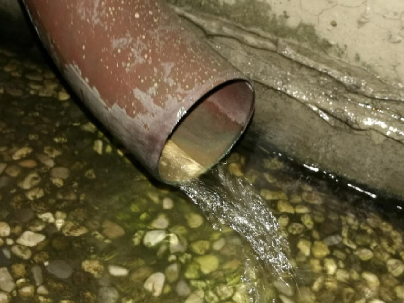 IMG_20251215_180232_955