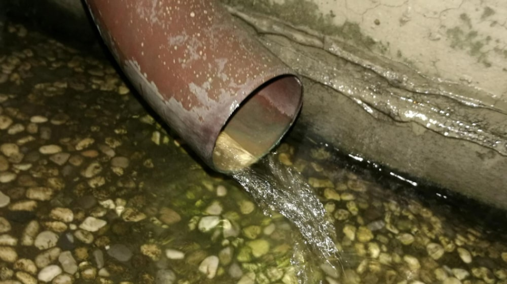 IMG_20251215_180232_955