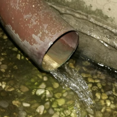 IMG_20251215_180232_955