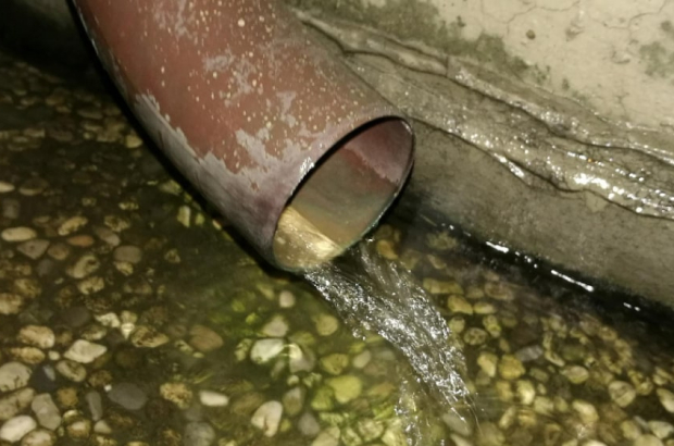 IMG_20251215_180232_955