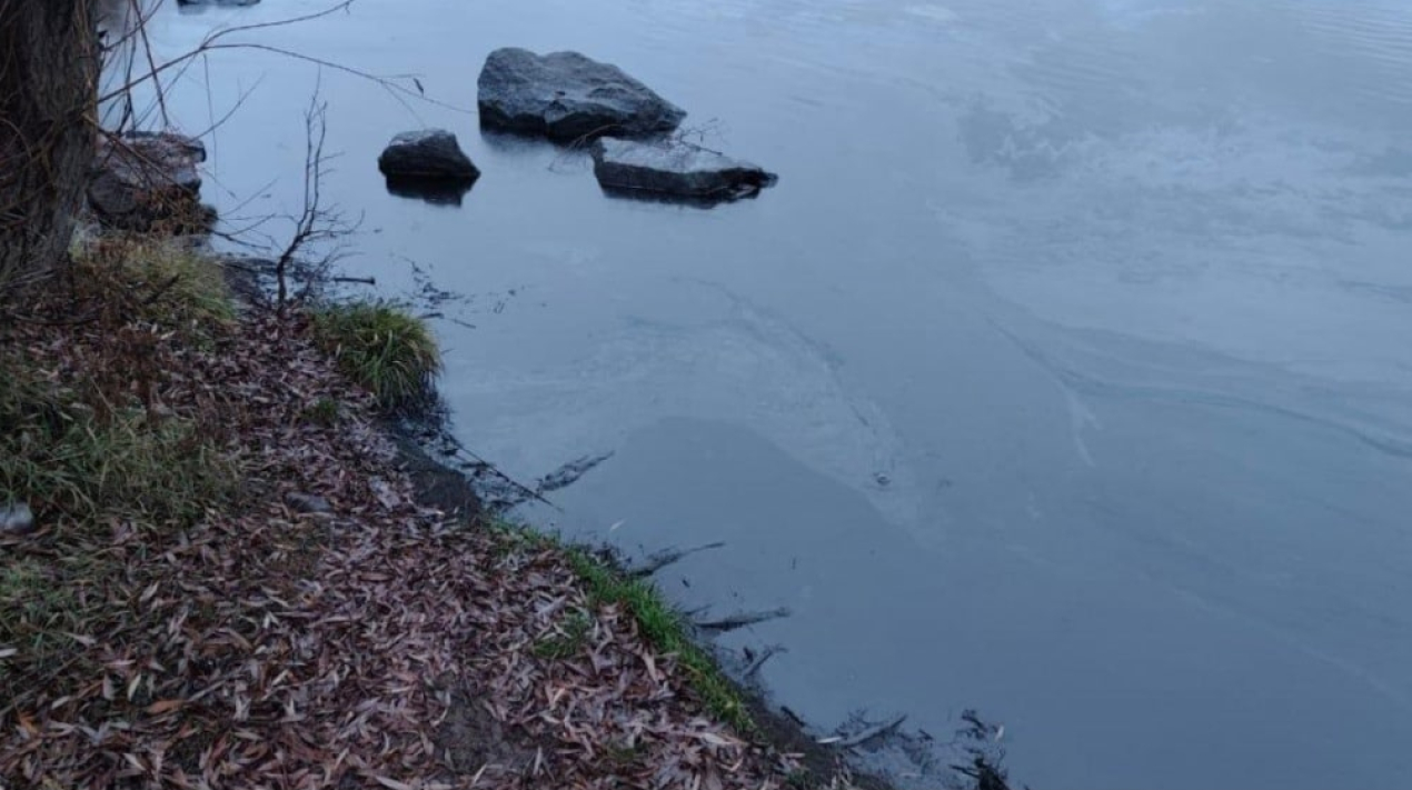 Сторіс 1476-min