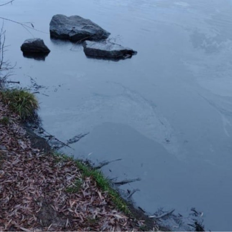 Сторіс 1476-min