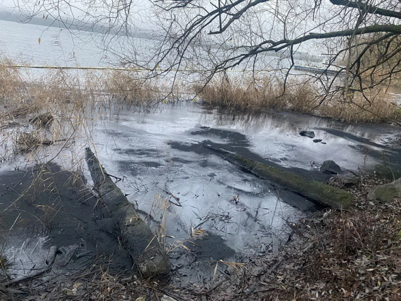 image_2025-12-05_13-33-54