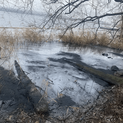 image_2025-12-05_13-33-54