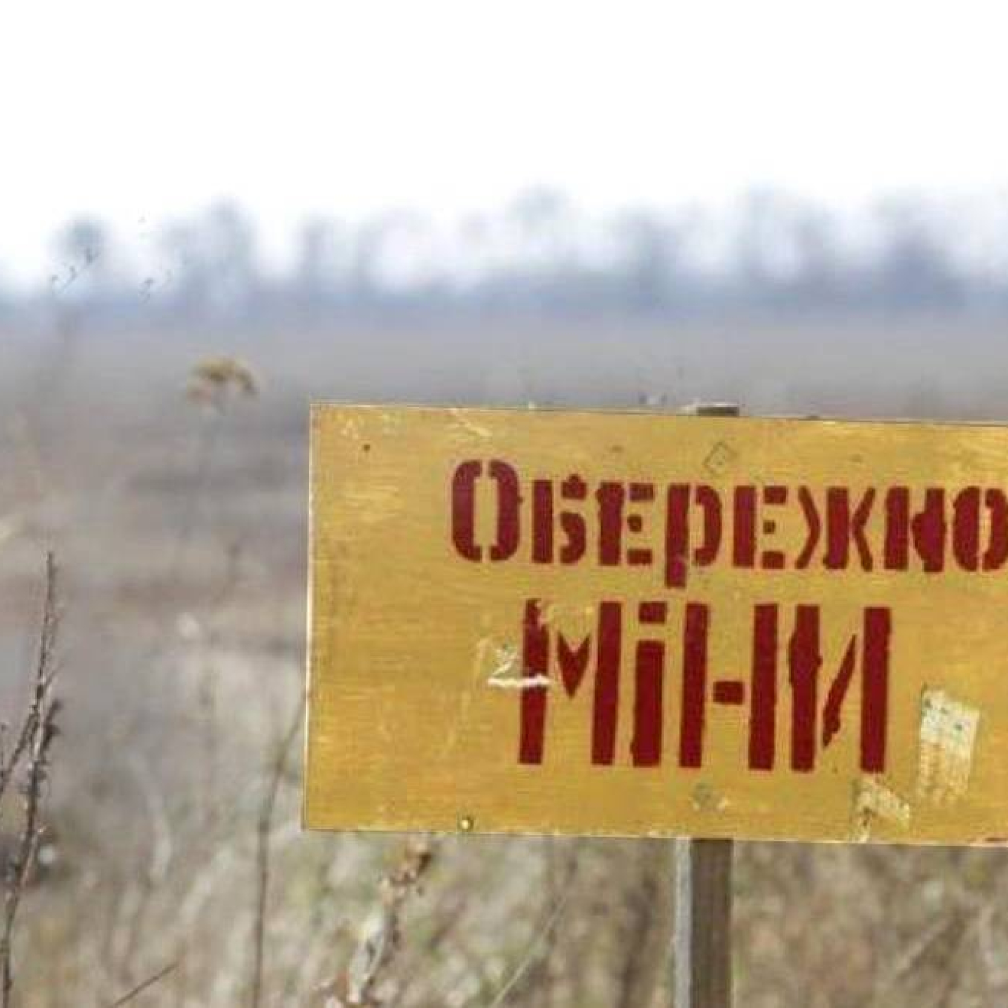 011c0eb3170a2dc161ced77dcdd1cca7