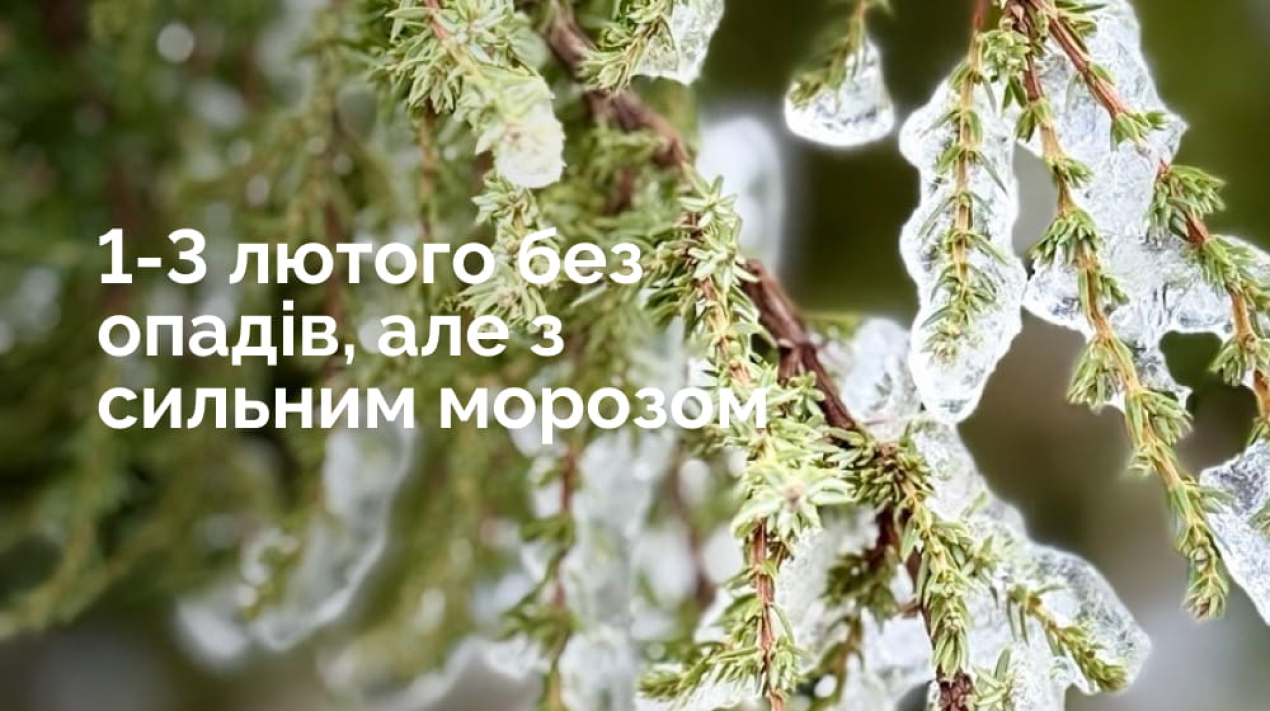 Frame 1321316291 (1)