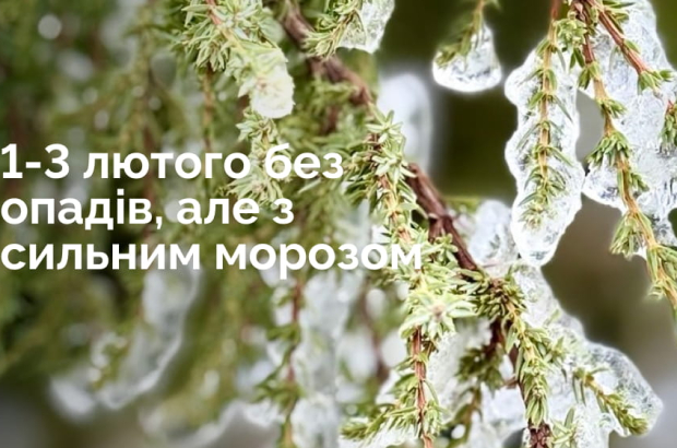 Frame 1321316291 (1)