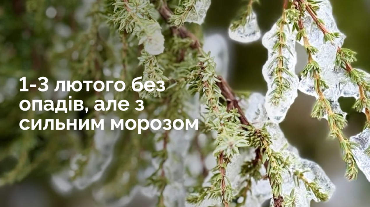 Frame 1321316291 (2)