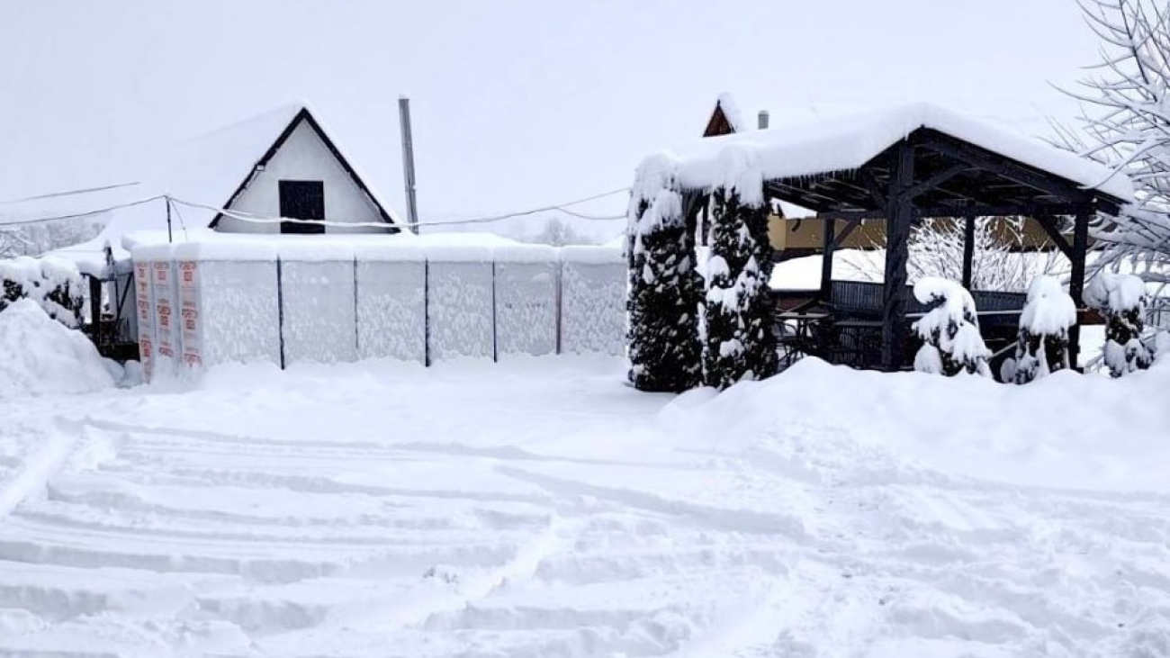 IMG_20260114_140435_978