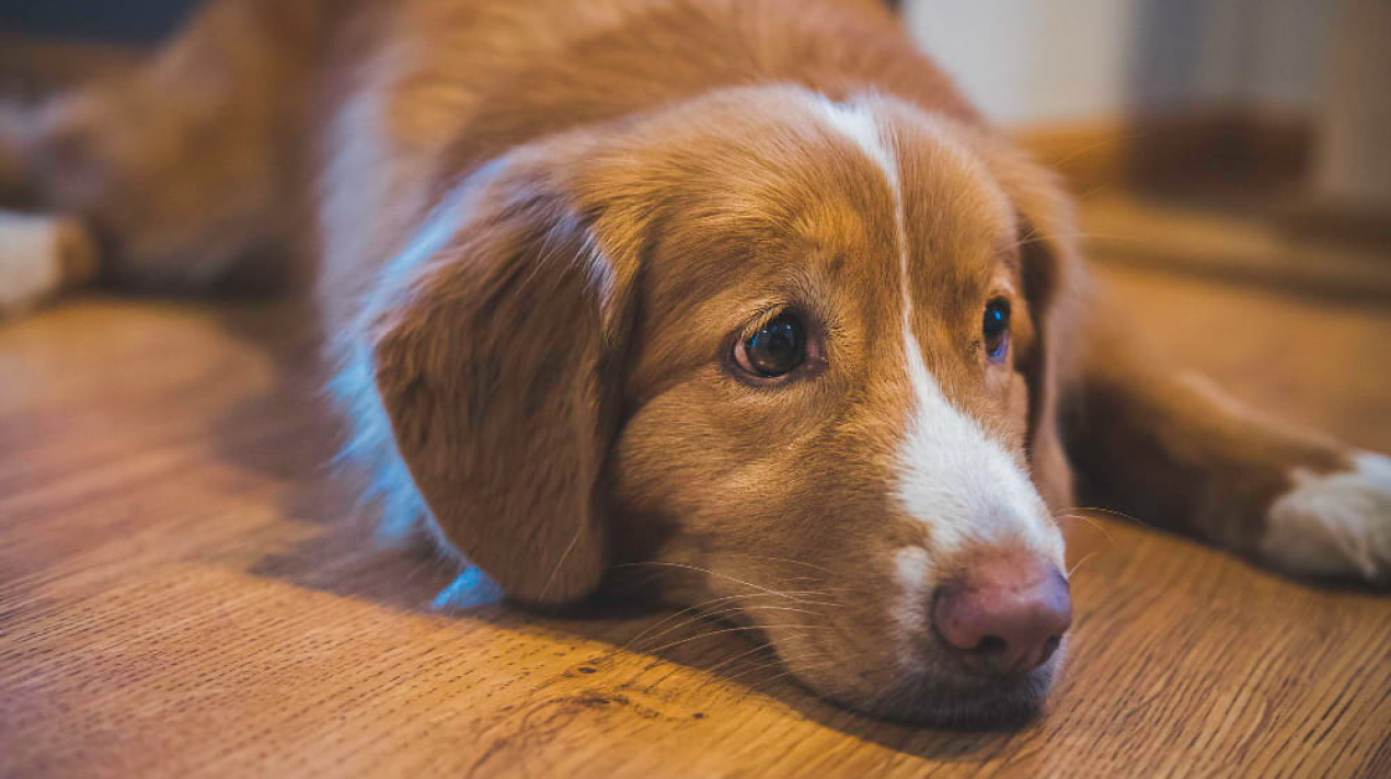 IMG_20260116_090835_693