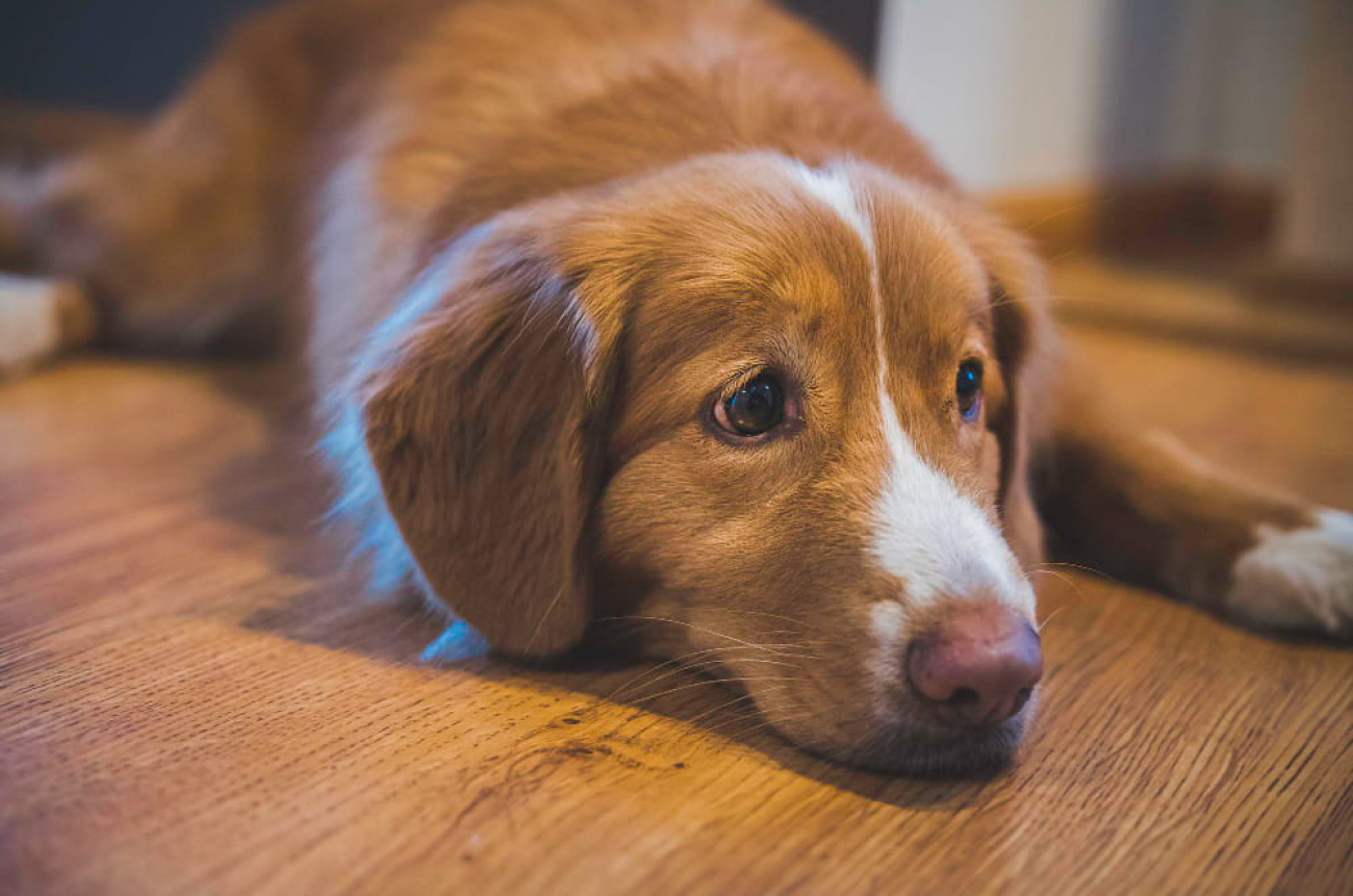 IMG_20260116_090835_693