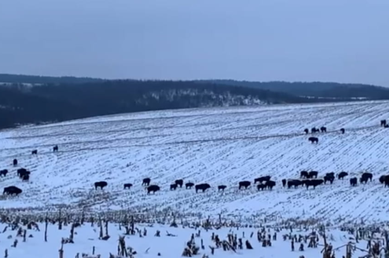 IMG_20260120_191604_994