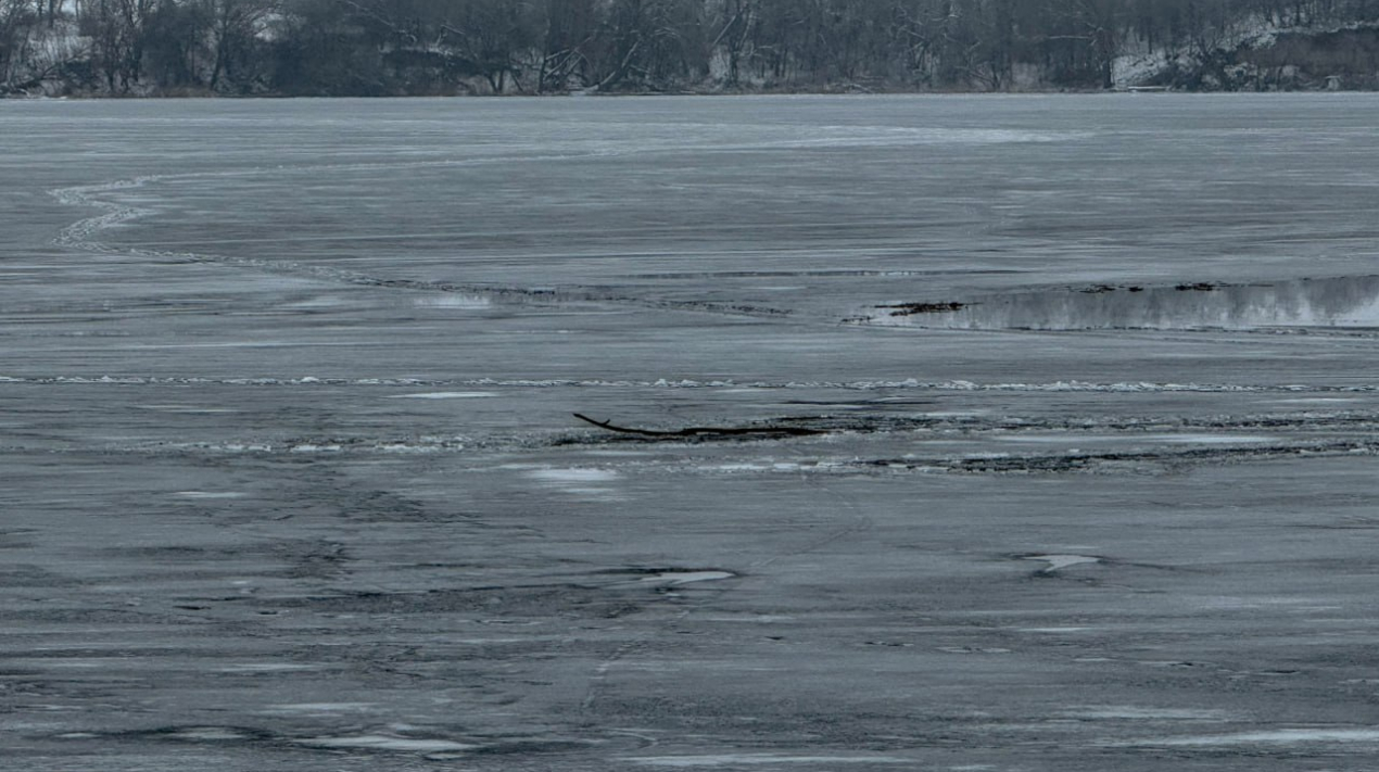 photo_2026-01-29_15-29-36