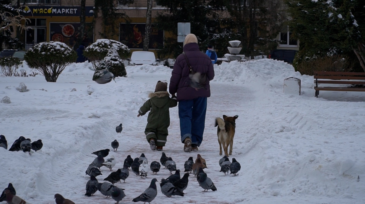 00008.00_11_25_09.Still004