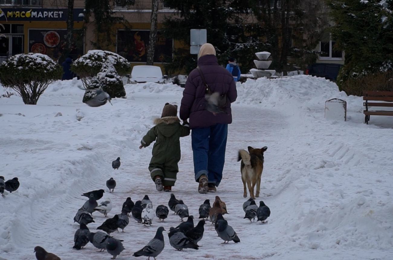 00008.00_11_25_09.Still004