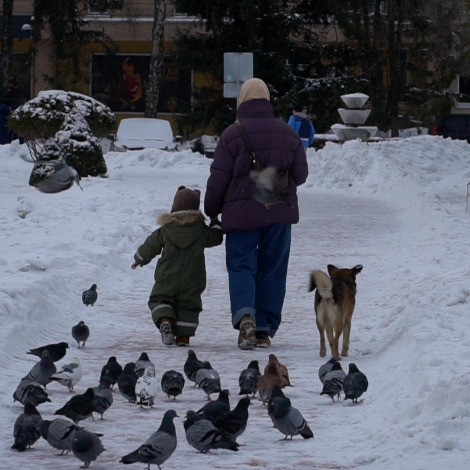 00008.00_11_25_09.Still004