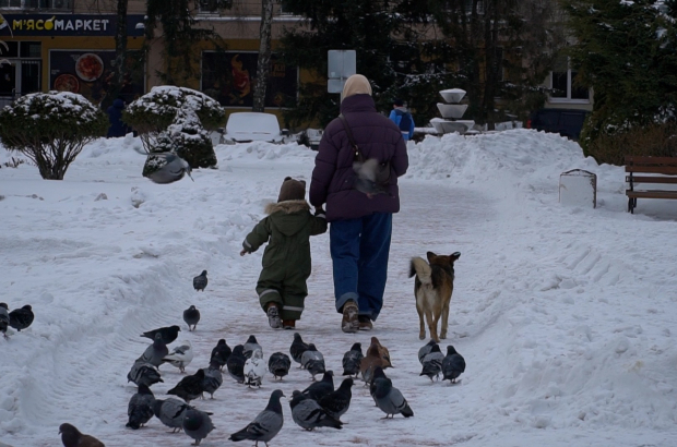 00008.00_11_25_09.Still004