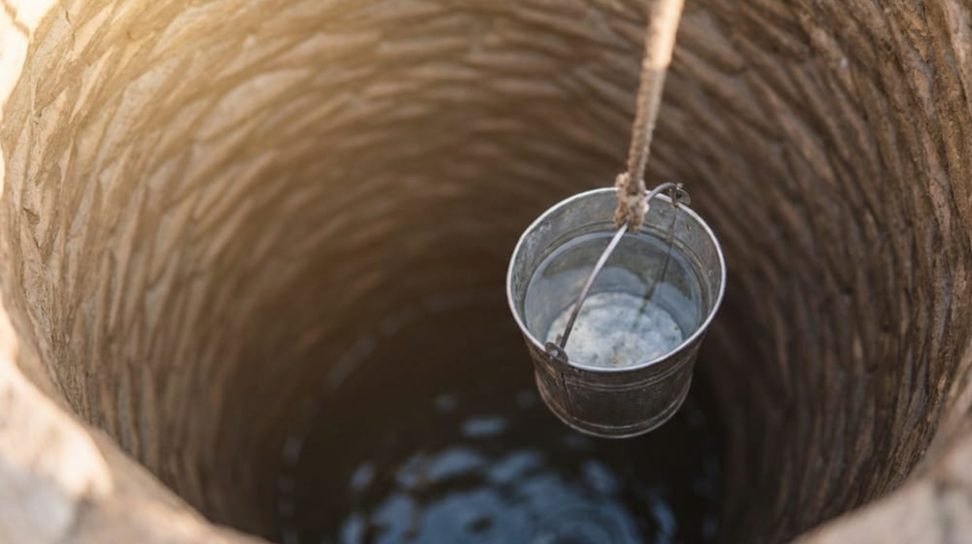 IMG_20260224_114545_765