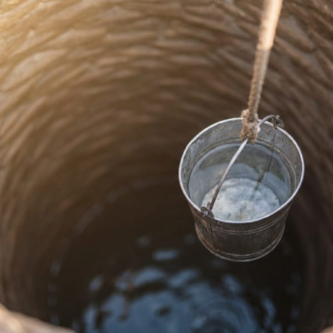 IMG_20260224_114545_765