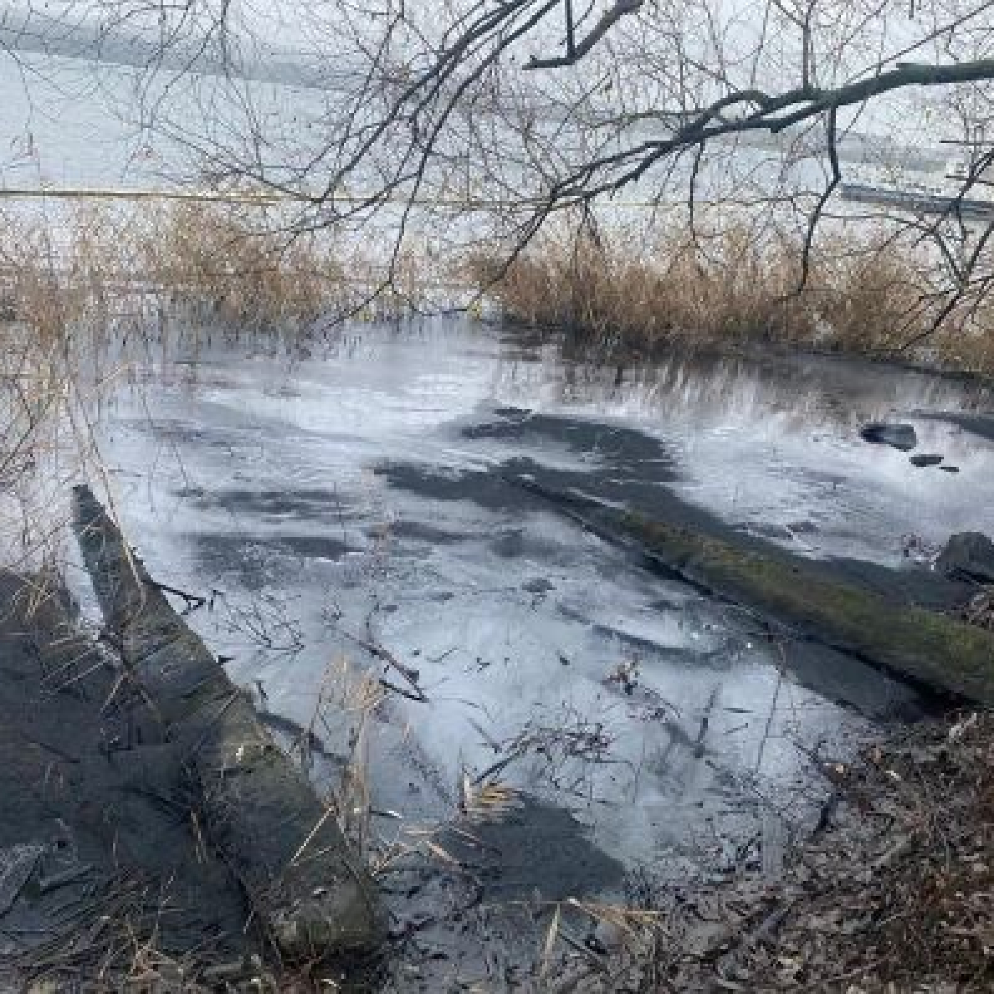 photo_2026-02-26_13-21-37