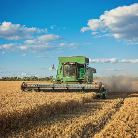 IMG_20260311_171310_291