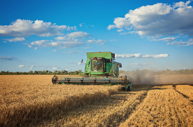 IMG_20260311_171310_291