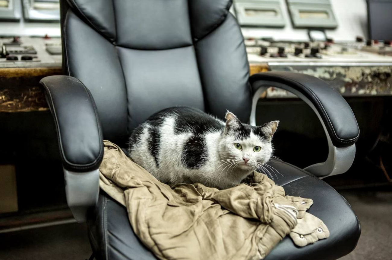 IMG_20260319_164122_509